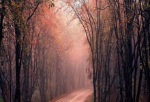 九游体育-包含中超赛前走向成谜，阿斯顿维拉战术微调，管理层满意，年轻球员获得机会的词条